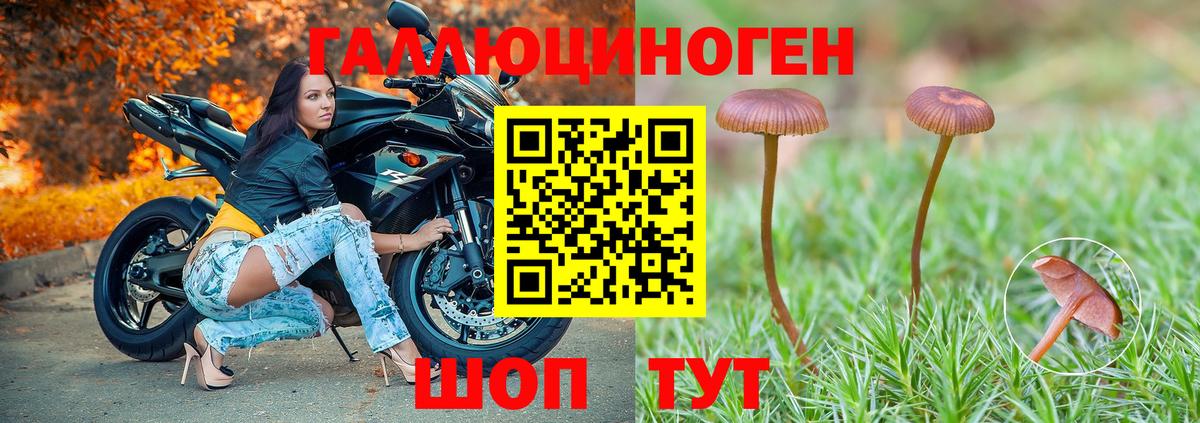 Галлюциногенные грибы Cubensis  Вход с VPN  Буйнакск 